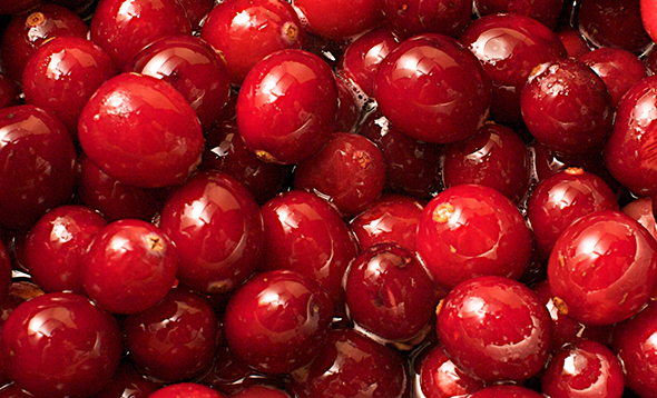 SuperFood: Cranberries 